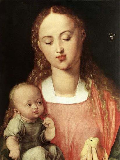 Albrecht Durer Madonna and Child with the Pear China oil painting art